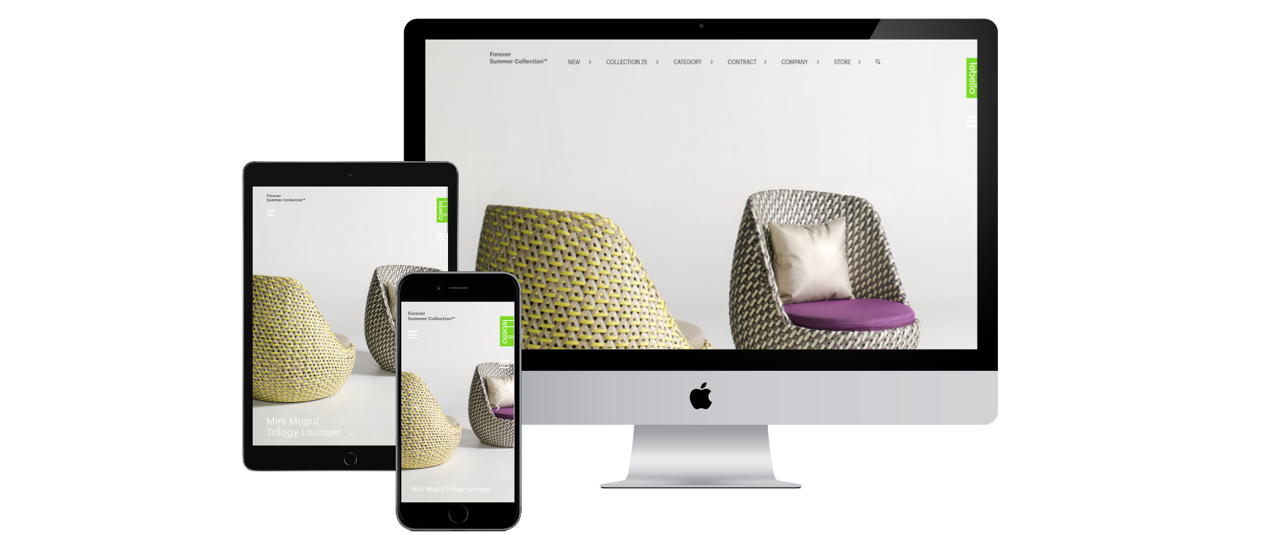 Custom WordPress site designed by 3DGeeks.in