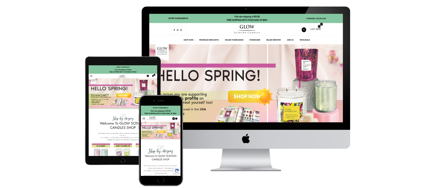 Functional WordPress site designed by 3DGeeks.in
